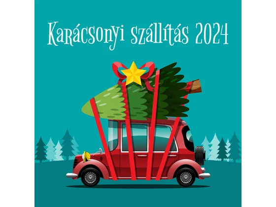 Karácsonyi szállítás 2024