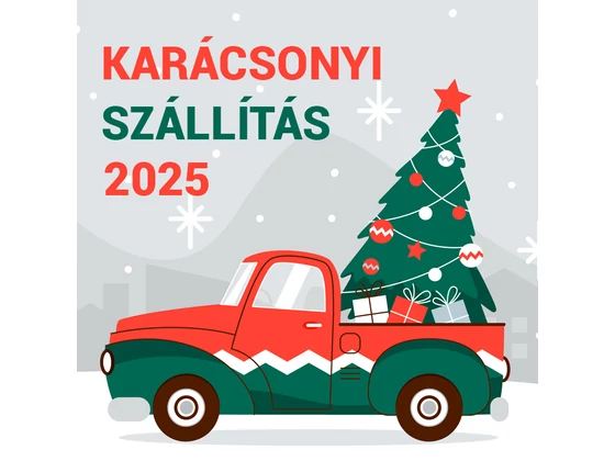 Karácsonyi szállítás 2025